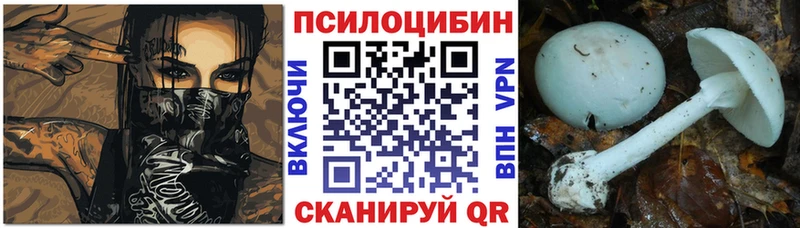 Псилоцибиновые грибы ЛСД  omg зеркало  Игарка 